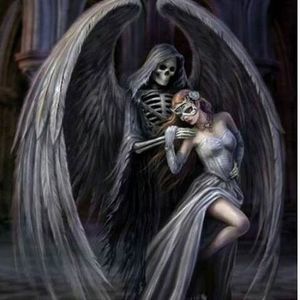 Meet your Posher, Norma