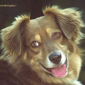 Meet your Posher, Cathie