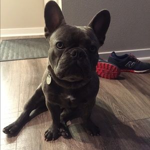 Meet your Posher, Henry