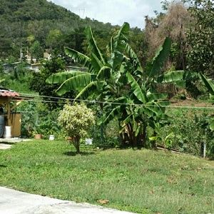 Meet your Posher, Camille