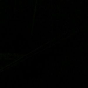 Meet your Posher, Alisha