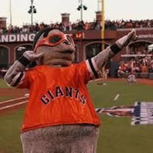 Meet your Posher, Sophie