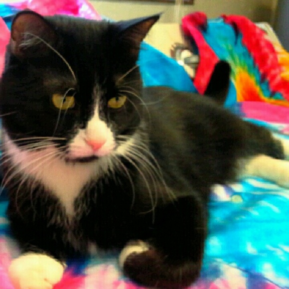 Isaac loves tie dye!