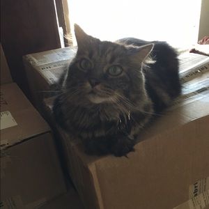 Meet your Posher, Alex