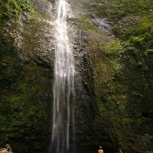 Meet your Posher, Audrey