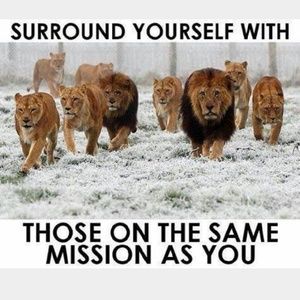 Meet your Posher, Devyn