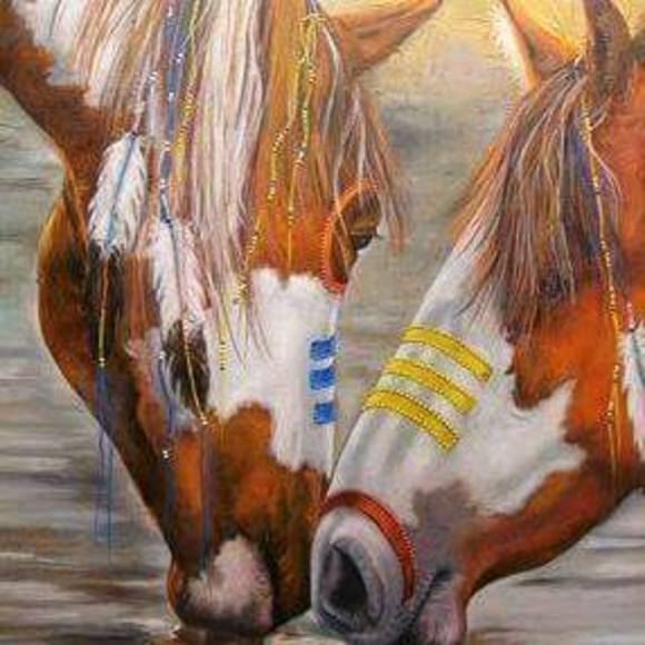 Meet your Posher, Casey - Picture 8 of 8