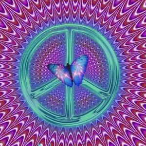 Meet your Posher, Shari