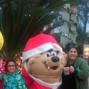 Meet your Posher, Donna