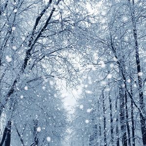 Meet your Posher, Paige