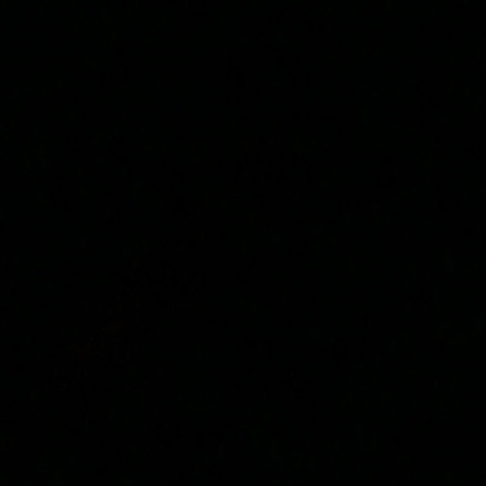 Meet your Posher, Domenic