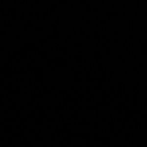 Meet your Posher, Logan