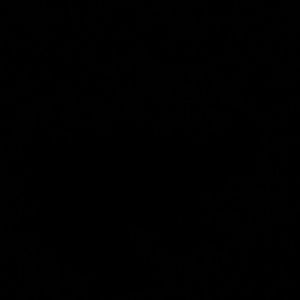 Meet your Posher, Logan