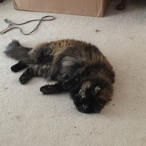 Meet your Posher, Jessica