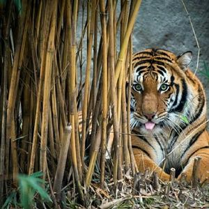 Meet your Posher, Tracy