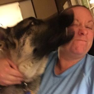 Meet your Posher, Patsy