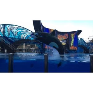 Meet your Posher, Tamara