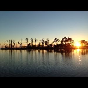 Meet your Posher, Al