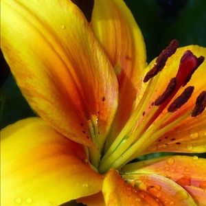 Meet your Posher, Linda