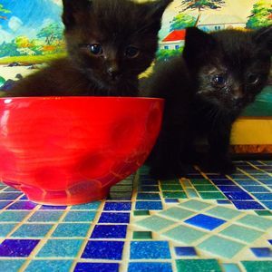 Meet your Posher, Kerin