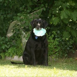 Meet your Posher, Suzanne