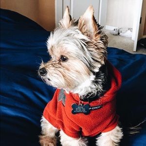 Meet your Posher, Joshua