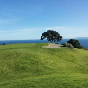 Meet your Posher, Yunsuk