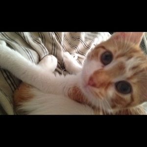 Meet your Posher, Angela