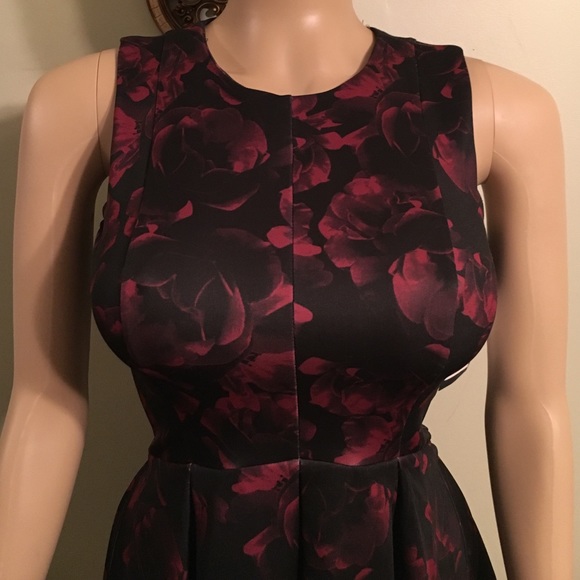 Stunning WANT and NEED dress sold at Nordstrom's - Picture 2 of 4