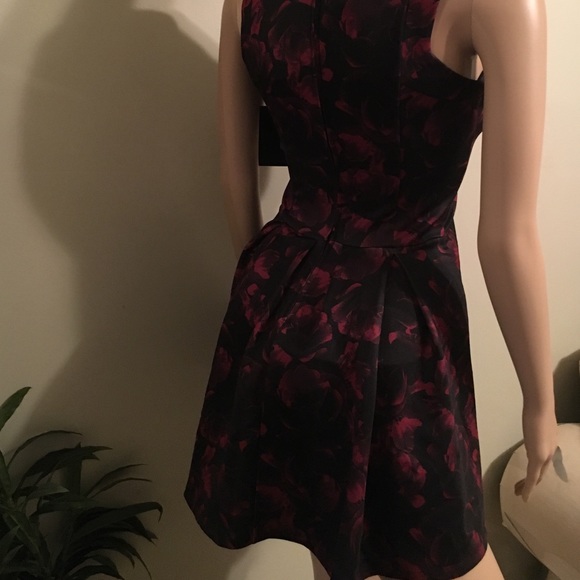 Stunning WANT and NEED dress sold at Nordstrom's - Picture 4 of 4