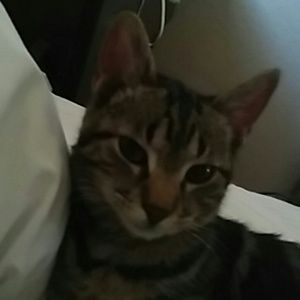 Meet your Posher, Lisa