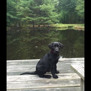 Meet your Posher, Cande