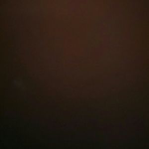 Meet your Posher, Darryl