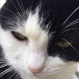 Meet your Posher, Paula