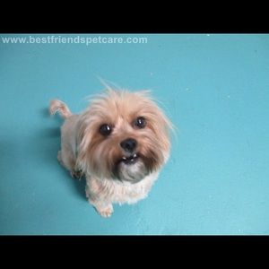 Meet your Posher, Nancy