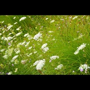 Meet your Posher, Erika