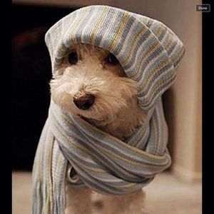 Meet your Posher, Lisa n mark