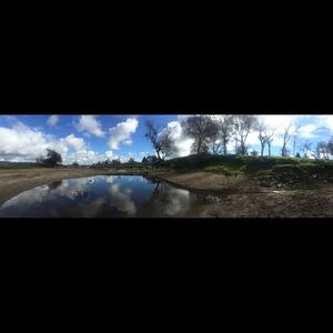 Meet your Posher, Shania