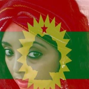 Meet your Posher, Hawwii