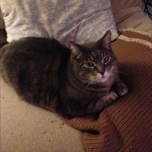 Meet your Posher, Amber