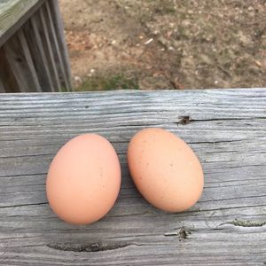 Meet your Posher, Corrie