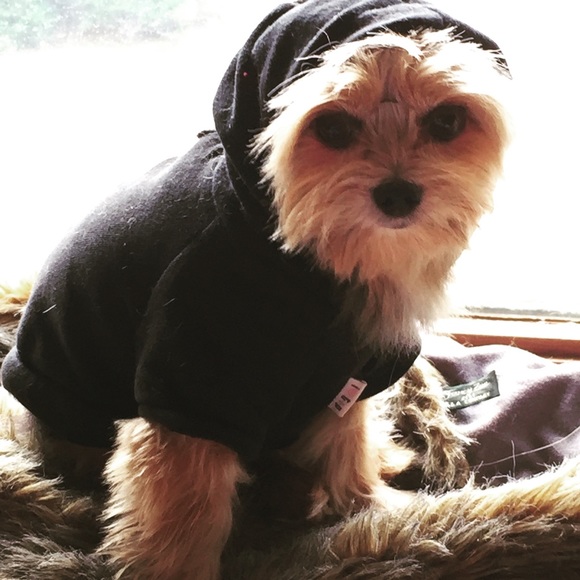 Meet your Posher, Kathy - Picture 3 of 3