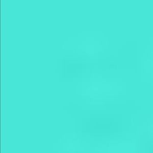 Meet your Posher, Jami