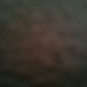 Meet your Posher, Ellie