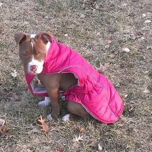 Meet your Posher, Mitch