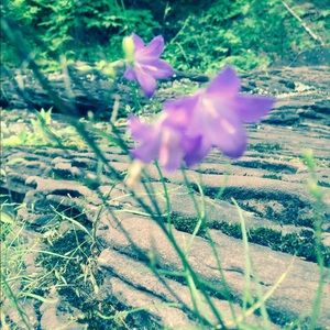 Meet your Posher, Mattia