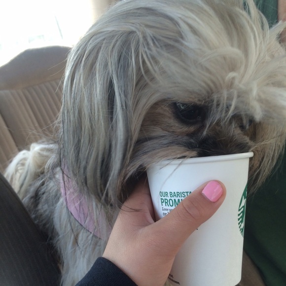 Meet your Posher, Saira