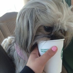 Meet your Posher, Saira