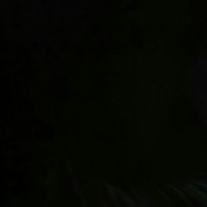 Meet your Posher, Nieves