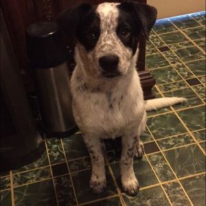 Meet your Posher, Kacie